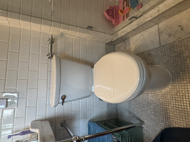 New Toilet Installation Hinsdale, IL